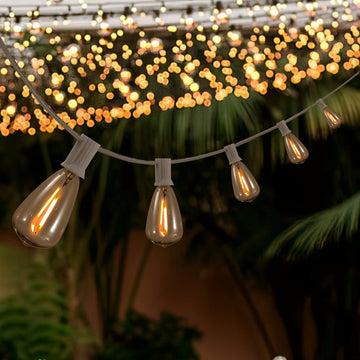 10-Light Indoor/Outdoor 10 ft. Rustic Industrial ST38 Clear Bulb String Lights